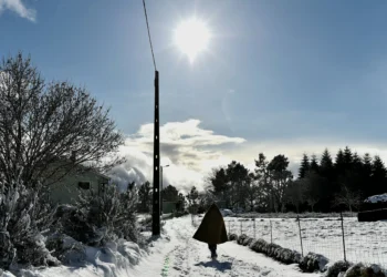 Estradas cortadas devido à queda de neve. Saiba quais aqui