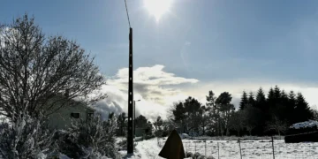 Estradas cortadas devido à queda de neve. Saiba quais aqui