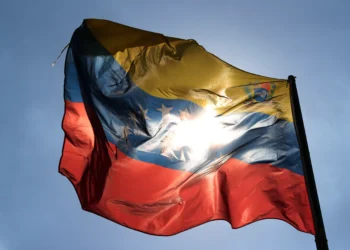 Luso-venezuelana Carla da Silva libertada