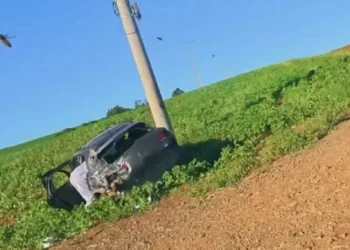 Ataque de abelhas a veículo em movimento termina em acidente com feridos