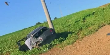 Ataque de abelhas a veículo em movimento termina em acidente com feridos