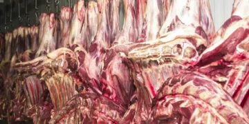 Brasil pode perder até US$ 3 bi em receita em 2026 com tarifa chinesa, diz Abrafrigo