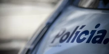 Câmara do Porto quer divisão de policiamento comunitário dentro da Polícia Municipal