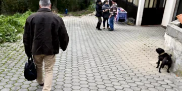 Ministro da Defesa anuncia geradores e telas impermeáveis para o concelho de Figueiró dos Vinhos