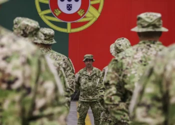 Exército apoia nas limpezas e no reforço de energia nos distritos de Santarém e Leiria