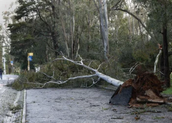 Mais de 1400 ocorrências nesta tarde de mau tempo