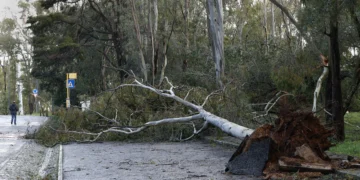 Mais de 1400 ocorrências nesta tarde de mau tempo