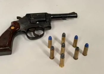 Investigado por violência doméstica, homem que feriu vítima na cabeça tem arma apreendida em Gaspar