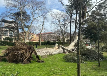 Depressão Kristin: seis vítimas mortais e mais de quatro mil ocorrências