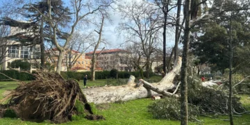 Depressão Kristin: seis vítimas mortais e mais de quatro mil ocorrências