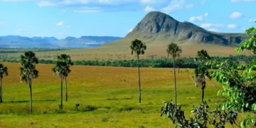 ONG de SP poderá captar R$ 10 milhões, via Lei Rouanet, para projeto na Chapada dos Veadeiros