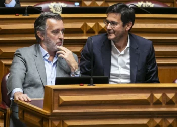 Rui Rocha garante que nunca recebeu queixa contra Cotrim