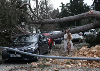 Porque não foi ativado o Mecanismo Europeu de Proteção Civil?