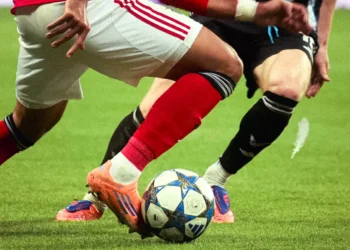 Benfica vai receber mais de 50 milhões de euros pela participação deste ano na Champions