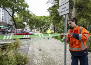 Castelo de São Jorge, Feira da Ladra e jardins municipais fechados em Lisboa devido ao mau tempo