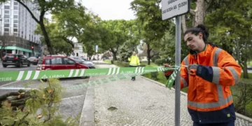Castelo de São Jorge, Feira da Ladra e jardins municipais fechados em Lisboa devido ao mau tempo