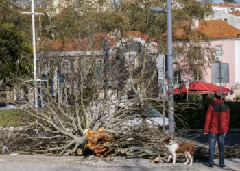 Ativado Plano Distrital de Emergência de Proteção Civil de Setúbal