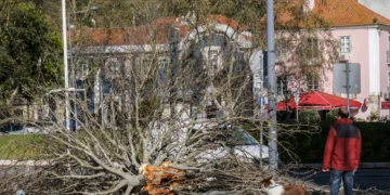 Ativado Plano Distrital de Emergência de Proteção Civil de Setúbal