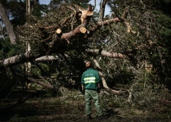 O comboio de tempestades já passou, mas como se vive nas estações?