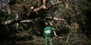 O comboio de tempestades já passou, mas como se vive nas estações?