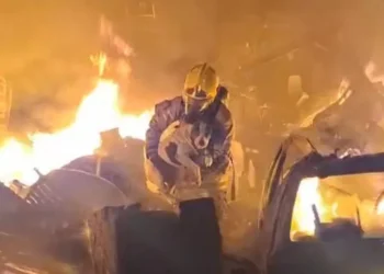 Em meio a incêndio de grandes proporções, bombeiros salvam cadela de imóvel em chamas