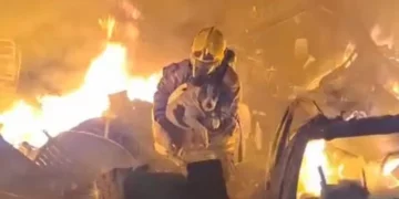 Em meio a incêndio de grandes proporções, bombeiros salvam cadela de imóvel em chamas