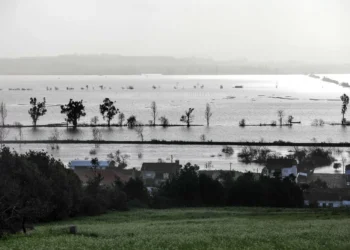 Dique da Ponte dos Casais rompe em Coimbra. A1 cortada nos dois sentidos
