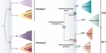 Toda a vida na Terra partilha antepassado comum que viveu há 4 mil milhões de anos