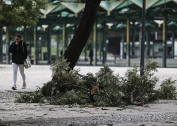 Centro municipal de socorro de Setúbal registou mais de mil ocorrências desde 27 de janeiro