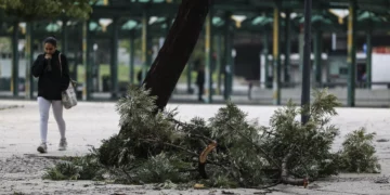 Centro municipal de socorro de Setúbal registou mais de mil ocorrências desde 27 de janeiro