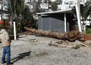 Mais de quatro mil empresas pedem apoios após tempestades no valor de quase mil milhões de euros