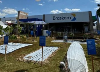 Braskem nega ter dívidas com BB ao ser apontada por inadimplência de R$ 3,6 bi