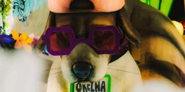 Cão Orelha é homenageado em desfile no Carnaval e vira símbolo contra maus-tratos