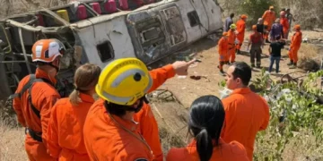 Ônibus que capotou e deixou 15 mortos em Alagoas estava irregular
