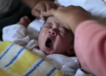 Faleceu João Gomes-Pedro, ‘pai da pediatria’ portuguesa