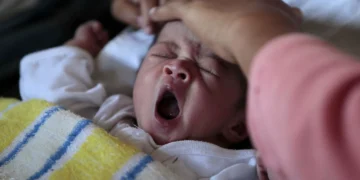 Faleceu João Gomes-Pedro, ‘pai da pediatria’ portuguesa