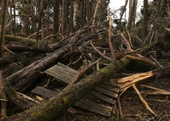 No dia em que foram anunciados os apoios, o ponto de situação da catástrofe