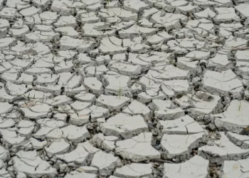 Estiagem: quinze cidades têm situação de emergência decretada